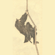 Illustration for article titled The Truth About Ninjas
